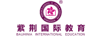 紫荊國際教育